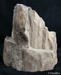 Large Free Standing Petrified Wood - McDermitt, OR #2754-2